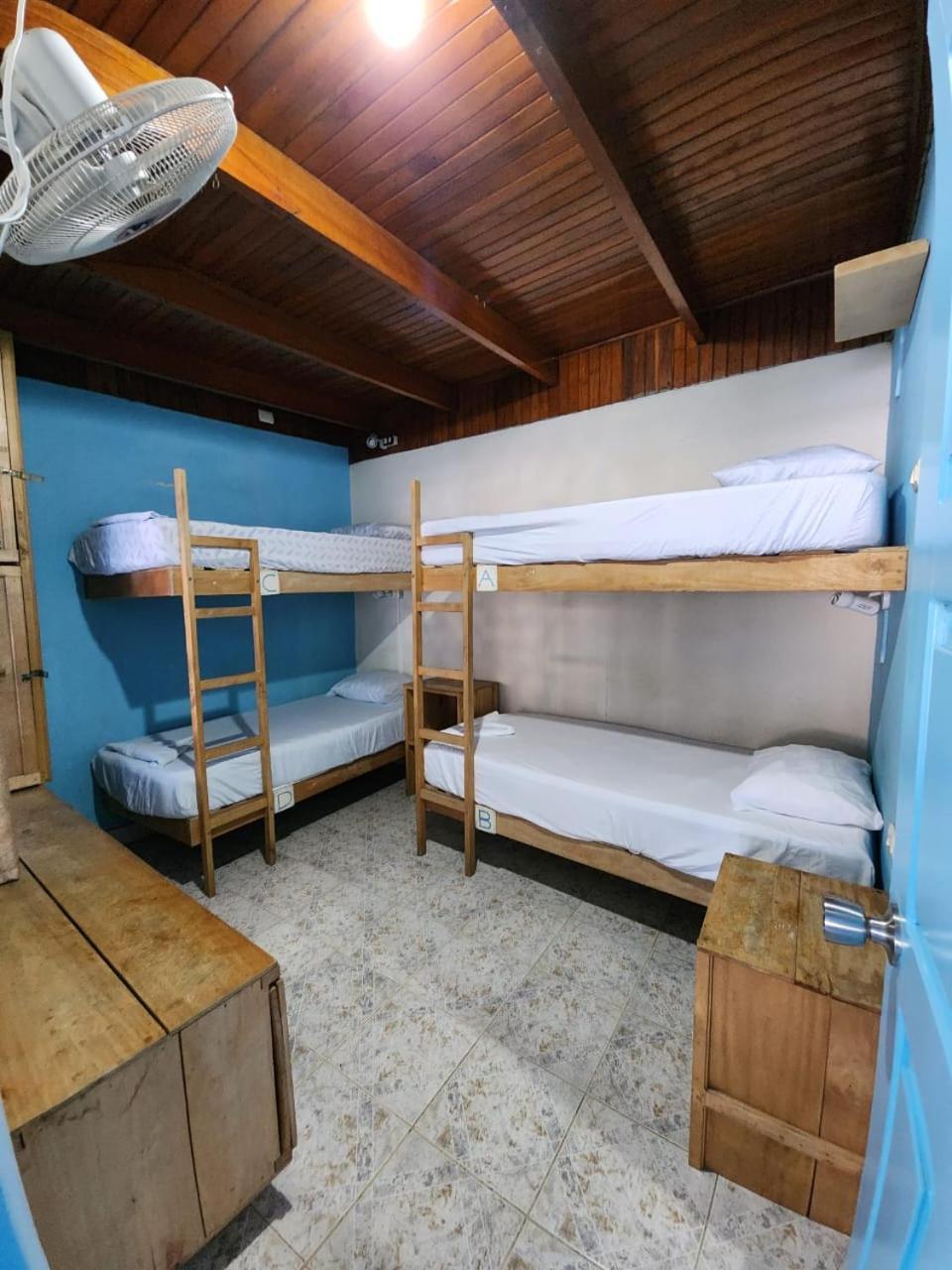Bed 4-Bed Mixed Dormitory Room